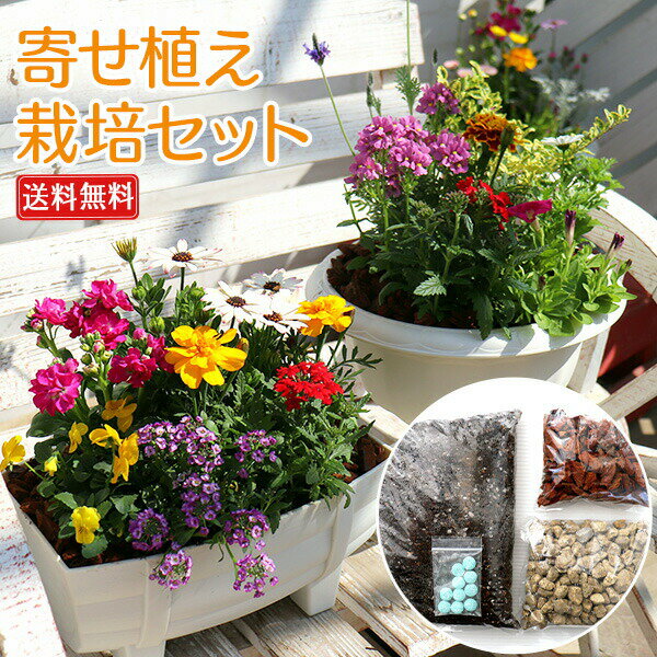 花苗と肥料と土と鉢が付いてこの価格！『 寄せ植え 栽培セット 』【 送料無料 】【 選べる鉢型 】