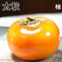 柿は日本の代表的な果樹の一つで、1000を超える在来品種があるといわれています。学名もKAKI。「柿」の名で世界中に通用する果実です。 『太秋(たいしゅう)』は、糖度が高く食味の良い完全甘柿。果汁が多く含まれ、柔かくサクカクとした歯切れの良い食感です。果実はとても大きく、400gほど(富有より大きい)にもなります。ぬめりが少ないうえ、渋抜けが早く青いうちから食べられるので よりシャキシャキ感が楽しめます。 《お届け時の状態》 　・ポットサイズ：12cm(4号)ロングポット 　・お届け時高さ：約1m(容器含む) 《育成地》福岡県 《開花》5月頃(地域差あり) 《花色》淡黄 《収穫》10〜11月(地域差あり) 《樹高》庭植えで3〜5m（庭植え） 《栽培適地》全国栽培可 《科名》カキノキ科 《園芸分類》落葉小高木 《用途》鉢、庭 ※写真はイメージです。気温や栽培環境により色形が写真とは多少異なることがあります。 日当たりがよく、排水の良い場所であれば土質は選びません。あまり多くの実をならすと実が小さくなったり翌年実付きがわるくなることがあるので適度に摘果すると良いでしょう。鉢植え栽培もできます。とっても甘くて とっても大きい完全甘柿！ サクサク、シャキシャキ食感が旨さを引き立てます(*'∀'*)/