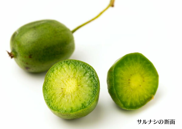 サルナシ 食べてもおいしい 食べ方や栽培方法をご紹介 暮らし の