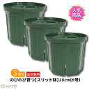 のびのび育つ 『 スリット鉢 』 18cm(6号) 【 送料無料 】 【3個セット】