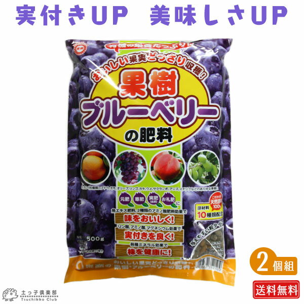 果樹・ブルーベリーの肥料　500g 【 送料無料 】 【 2個セット 】