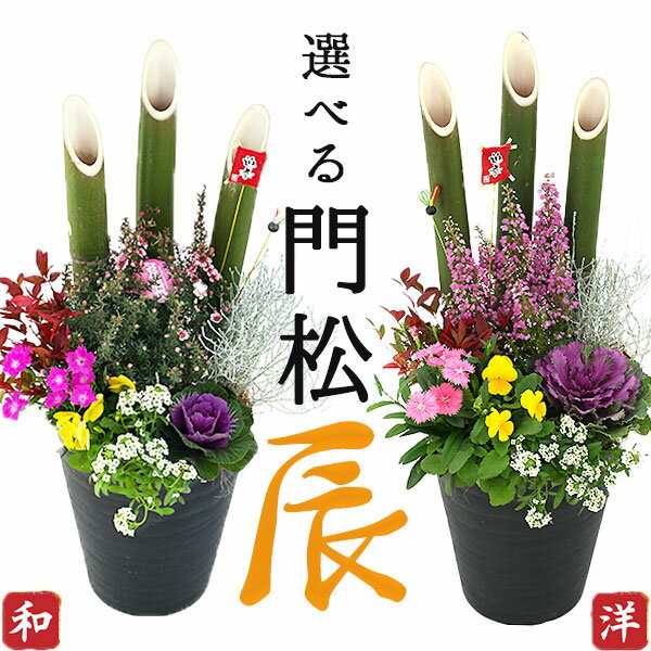 正月飾り 門松 送料無料『 お正月寄せ植え 』2個セット(1対) 選べる門松 門松アレンジ寄せ植え 7号鉢植え 高さ約70cm 一対 お祝い 縁起 約60~70cmのサムネイル