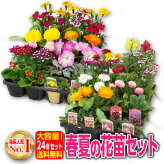 https://thumbnail.image.rakuten.co.jp/@0_mall/tsuchikko/cabinet/contents/item_com/hananae/imgrc0090064266.jpg