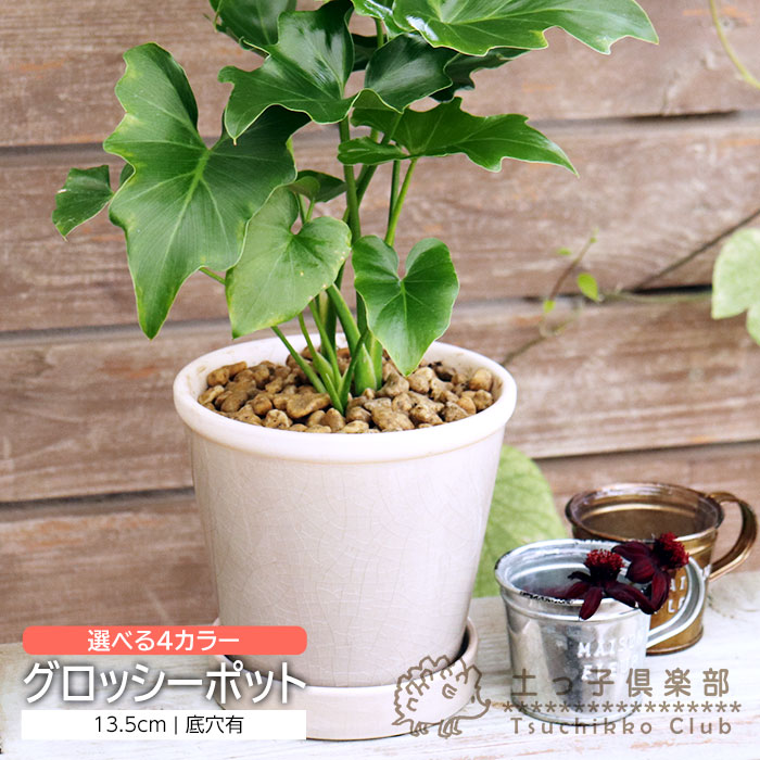 【 選べる4色 】『 グロッシーポット 』 13.5cm 植木鉢 底穴 セラミック ( スノー ムーンミントミスト ..