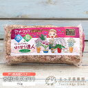 水苔 ミズゴケ 150g 圧縮水苔