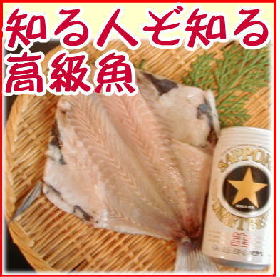 楽天市場 つぼ鯛干物 受注生産 沼津港地魚 沼津無添加つぼ鯛開き塩干し産地直送 駿河湾特急