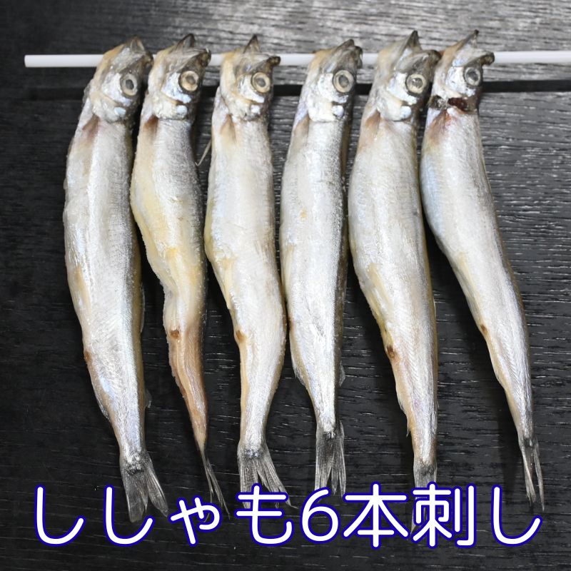 ししゃも1串6本刺（北欧産メスからふとシシャモ丸干し）