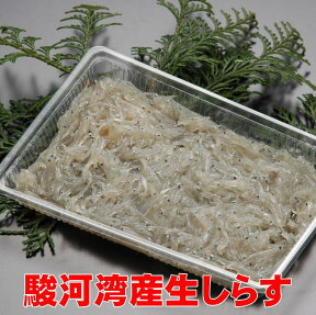 生しらす90g【冷凍】（静岡産生シラス）