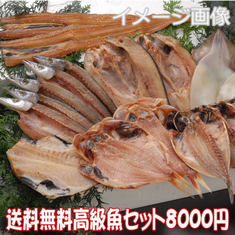 【送料無料】沼津干物セット（天日干しひもの詰め合わせ）店長おまかせ高級魚 （あじ・金目鯛・かます..