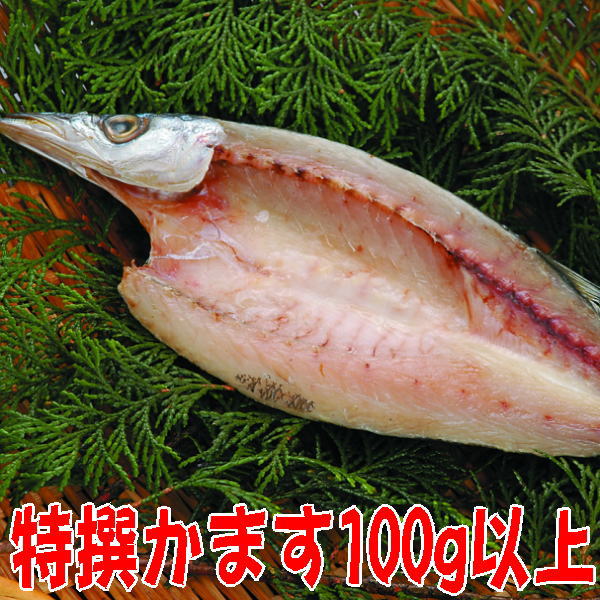 カマス開き( 贈り物 ギフト おつまみ いか 干物 海産物 海の幸 酒の肴 珍味 魚 産地直送 プレゼント ) 氷見の名産・海産物ギフトのまるなか屋 H-018