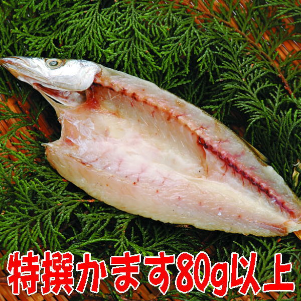 カマス開き( 贈り物 ギフト おつまみ いか 干物 海産物 海の幸 酒の肴 珍味 魚 産地直送 プレゼント ) 氷見の名産・海産物ギフトのまるなか屋 H-018