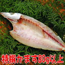 本かます(中)、沼津無添加カマスひもの産地直送