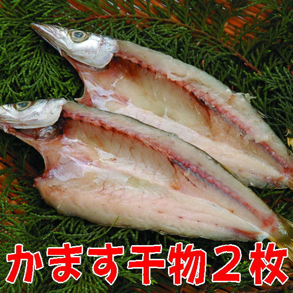 カマス開き( 贈り物 ギフト おつまみ いか 干物 海産物 海の幸 酒の肴 珍味 魚 産地直送 プレゼント ) 氷見の名産・海産物ギフトのまるなか屋 H-018