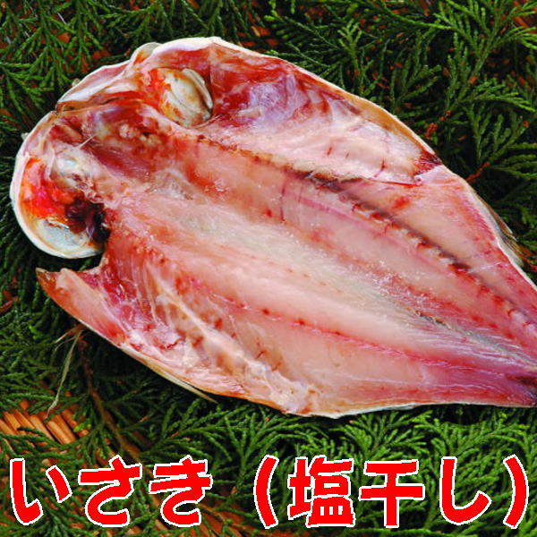 【受注生産】いさき干物（イサキ塩干し開き）沼津無添加地魚産地直送