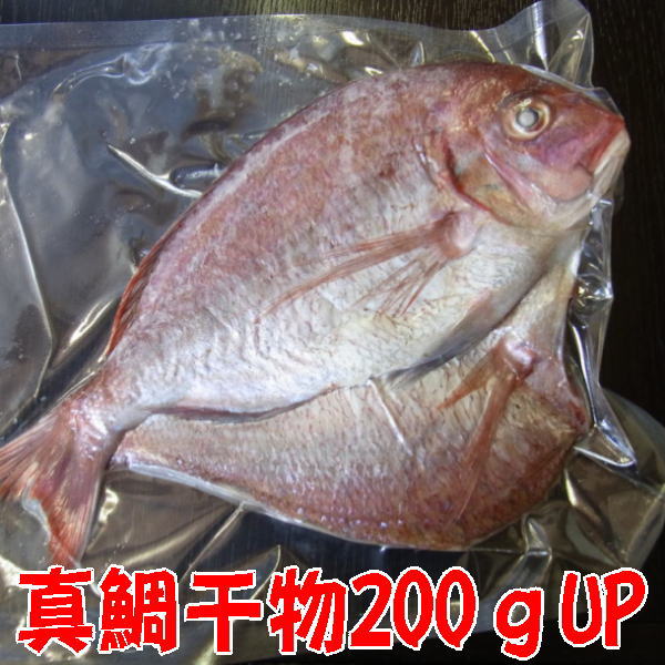 父の日【受注生産】真鯛干物200g-249g（焼きやすい手ごろなサイズ）沼津無添加真たい開き塩干し無 ...