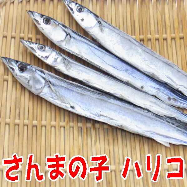 送料無料　北海道・道東産秋刀魚使用　さんまぼろぼろ　3個セット　　さんまフレーク　人参　ごぼう　ゴマ　北海道　お土産　みやげ　ごはんのおとも　御飯のお供　お取り寄せグルメ　食品　おにぎり　おかず　ふりかけ