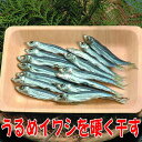 うるめイワシ硬干し沼津無添加ひもの(ウルメいわし塩味干物産地直送)