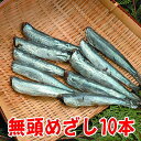 かたくちいわし丸干し10本沼津無添加ひもの（イワシ塩味干物産地直送）