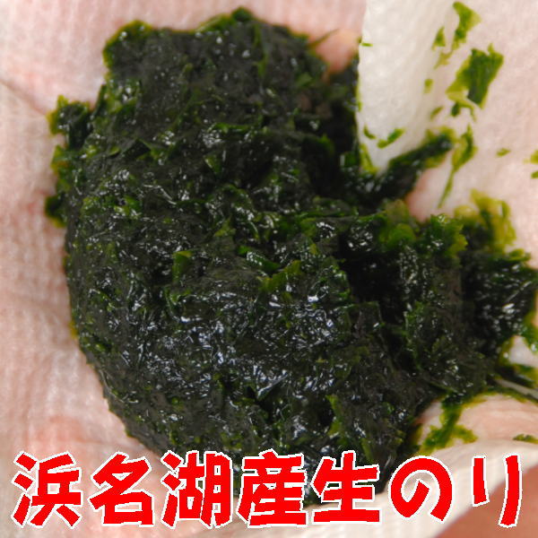 あおさ【送料無料】伊勢志摩産 500g(100g×5袋) 国産 伊勢志摩 三重県産 あおさのり アオサ あおさ海苔 保存食