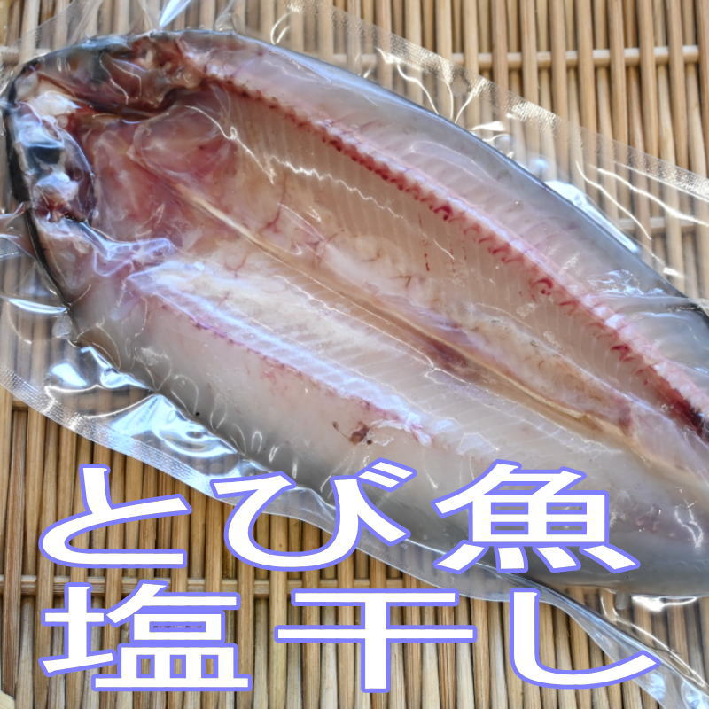 トビウオ干物（開き）