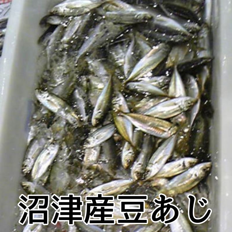駿河湾特急の豆あじ丸干し10本沼津無添加ひもの（あじ塩味干物産地直送）焼いても揚げても｜アングル2
