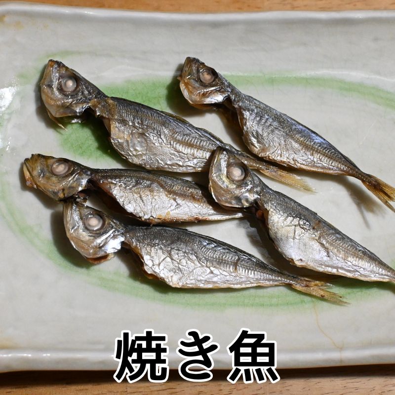 Ʀ�����ݴ���10�ܾ���̵ź�äҤ�Ρʤ�����̣��ʪ����ľ���˾Ƥ��Ƥ��Ȥ��Ƥ�