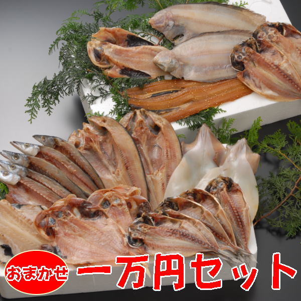 干物 【送料無料】沼津干物セット（天日干しひもの詰め合わせ）店長おまかせ豪快詰め合わせ （あじ・赤むつ・金目鯛・かます・ほっけ・太刀魚等々）