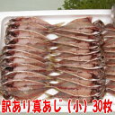 【隠岐島産】お塩で食べる！？ふっくらアジフライセット(1枚約40g×15尾)・海士乃塩付きアジフライ 鯵 国産　島根 隠岐 新鮮 お取り寄せ 産地直送 旬 ギフト 贈答用 御礼 御祝 お弁当 惣菜