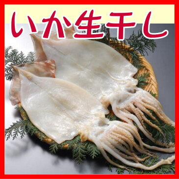 いか生干し(するめいか開き)、沼津無添加スルメイカひもの(国産真いか干物産地直送)