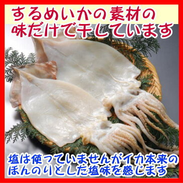 いか生干し(するめいか開き)、沼津無添加スルメイカひもの(国産真いか干物産地直送)