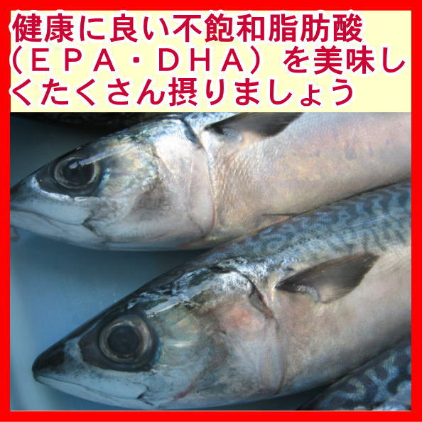 さば塩干しで不飽和脂肪酸をたくさん摂りましょう
