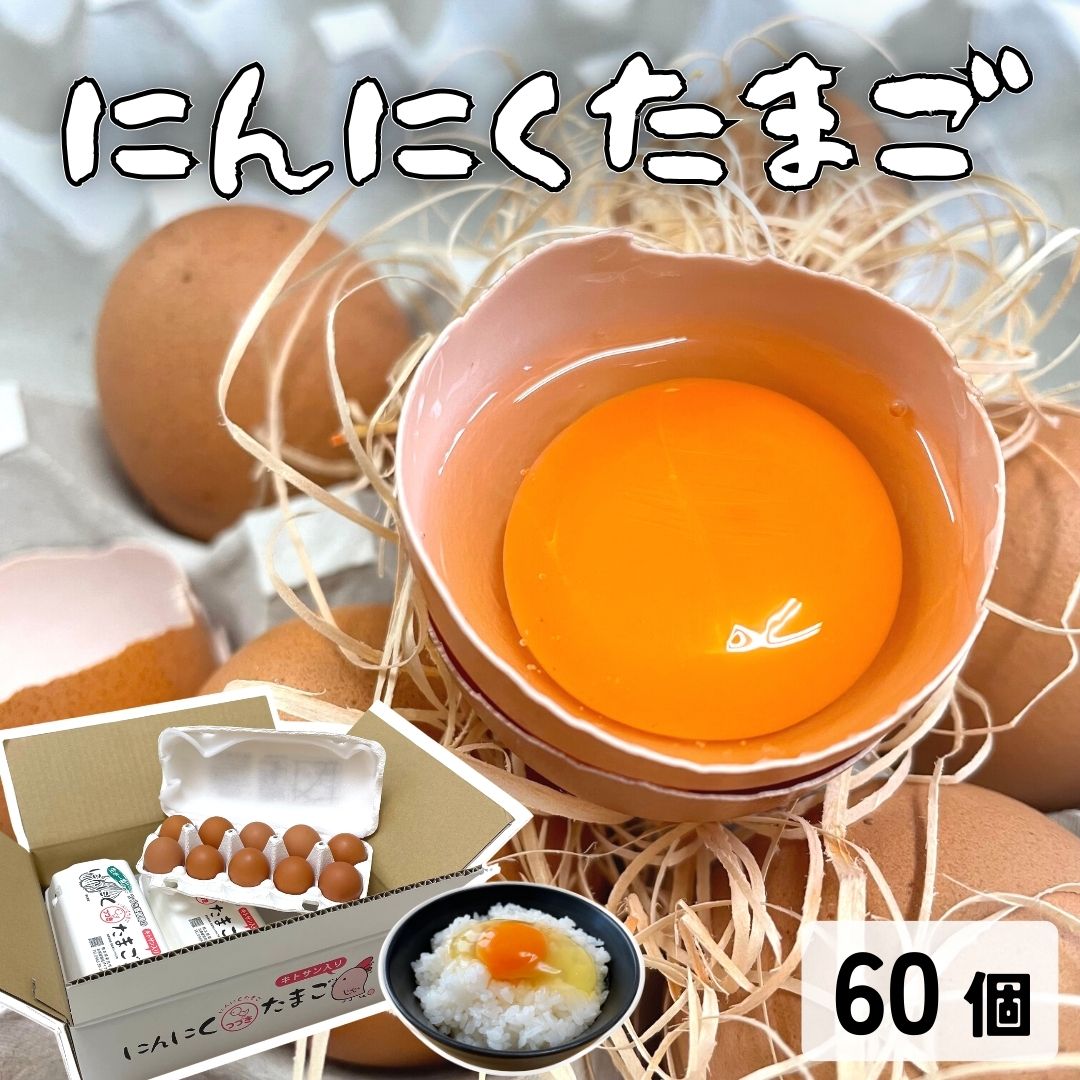 にんにくたまご 60個入 卵 10個入り×6パック つづき養鶏場 生卵 熊本県 国産 生食用 贈答用