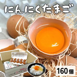 にんにくたまご 160個入 卵 10個入り×16パック つづき養鶏場 生卵 熊本県 国産 生食用 贈答用