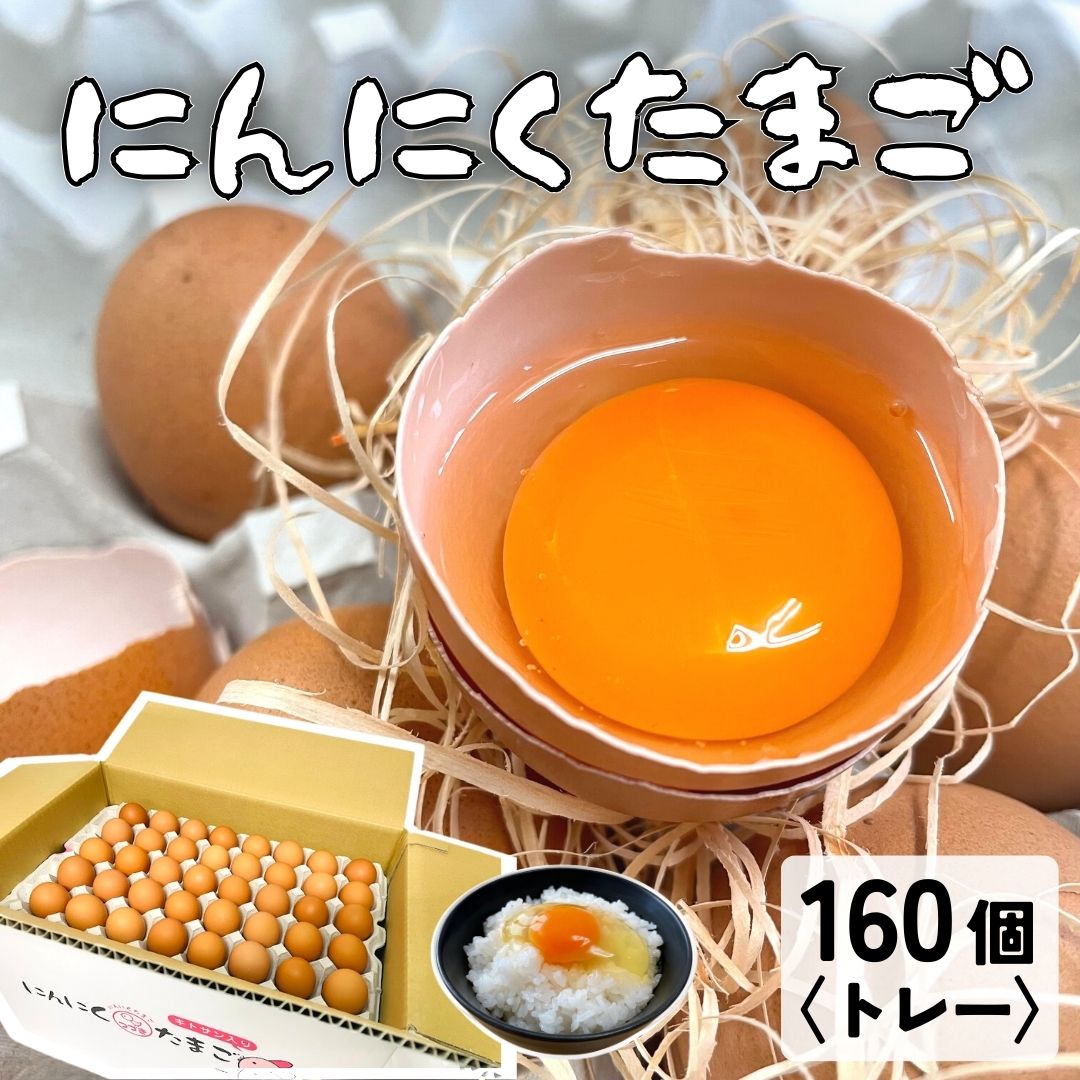 にんにくたまご 160個入トレー 卵 40個入り×4トレー 小分けパック無し つづき養鶏場 生卵 熊本県 国産 生食用 業務用