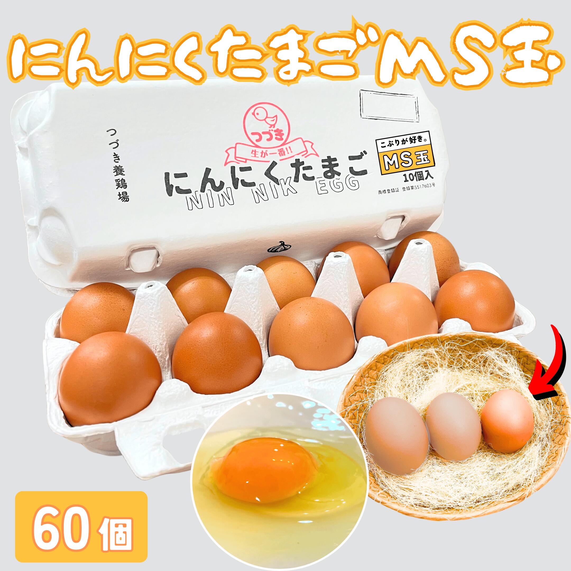 にんにくたまご MS玉 60個入 卵 10個入り×6パック MSサイズ こぶり 玉子 高級卵 高級たまご タマゴ おいしい卵 ブランド卵 たまごかけごはん お取り寄せ 生卵 鶏卵 贈答品 熊本県 国産 美味しい卵 高級たまご 生食用 ギフト 家庭用 業者用 まとめ買い 九州産 つづき養鶏場