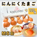 にんにくたまごMS玉 120個入 卵 10個入り×12パック MSサイズ こぶり 卵セット 生卵 鶏卵 タマゴ 玉子 高級卵 高級生卵 おいしい卵 お取り寄せグ...