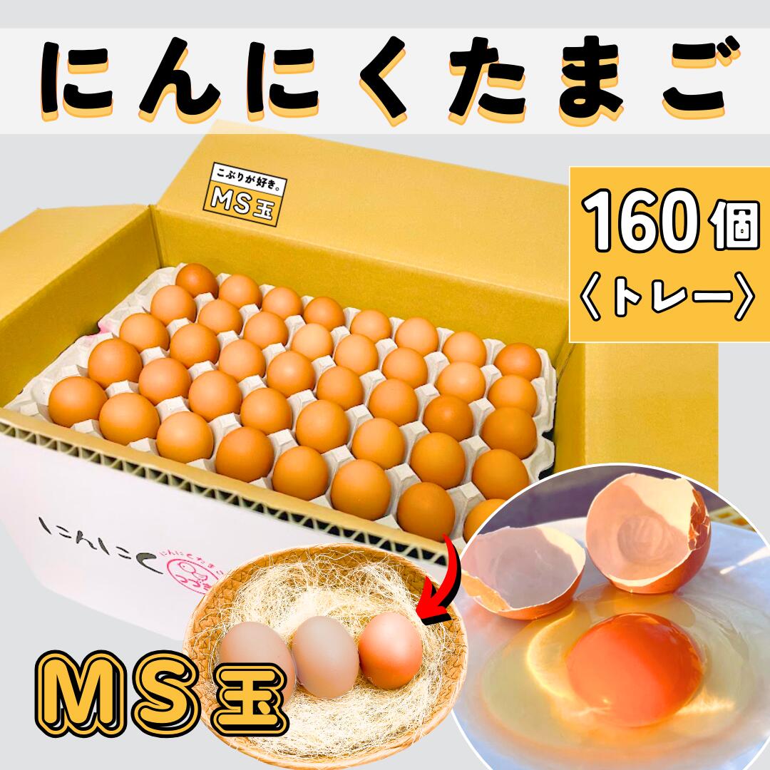にんにくたまごMS玉 160個入トレー 40個入り×4トレー 小分けパック無 MSサイズ こぶり 玉子 生卵 鶏卵 卵箱買い 高級卵 おいしい卵 濃厚 お取り寄せグルメ ブランド卵 卵かけご飯専用たまご たまごかけご飯 つづき養鶏場 熊本県 国産 生食用 業務用卵 まとめ買い 大量