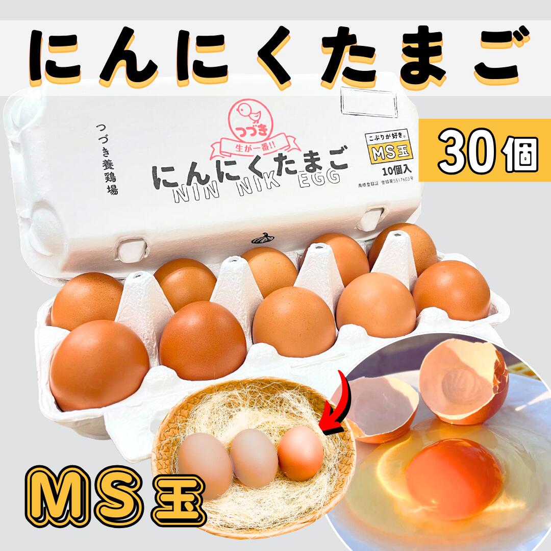 にんにくたまごMS玉 30個入 卵 10個入り×3パック MSサイズ こぶり 卵 玉子 生卵 鶏卵 タマゴ 高級卵 高級たまご おいしい卵 卵かけご飯 お取り寄せグルメ ブランド卵 濃厚 赤玉 つづき養鶏場 熊本県 国産 生食用 ギフト 美味しい 贈答品 贈答用 家庭用 卵箱買い 九州産