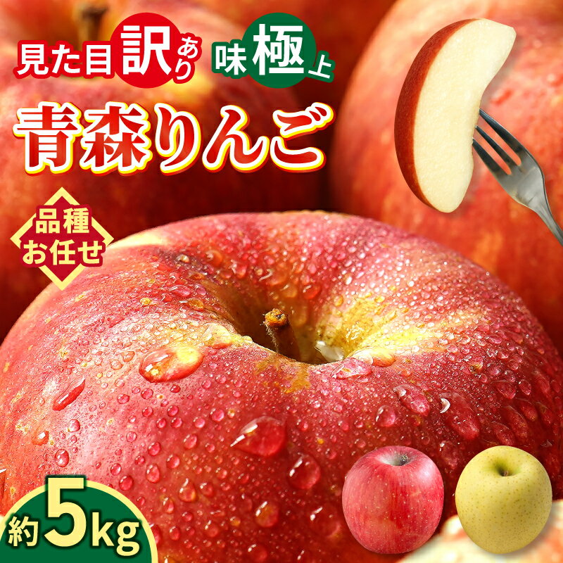 【 大好評出荷中 】青森県産 りんご 訳あり 5kg 生食用 品種おまかせ 送料無料 青森 リンゴ 訳アリ わけあり 林檎 産地 直送 5キロ 一箱 産直 おいしい 家庭用 完熟 甘い お取寄せ 長持ち 生食 生食可 美味しい ふじ 秋映 トキ ぐんま名月 品種色々 小玉 大玉 サイズ色々