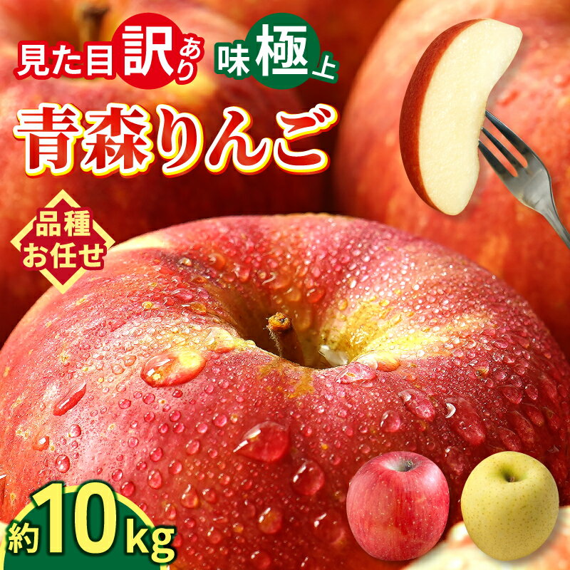 【 大好評出荷中 】青森県産 りんご 訳あり 10kg 生食用 品種おまかせ 送料無料 青森 リンゴ 訳アリ わけあり 林檎 産地 直送 10キロ 一箱 産直 おいしい 家庭用 完熟 甘い お取寄せ 長持ち 生食 生食可 美味しい ふじ 秋映 トキ ぐんま名月 品種色々 小玉 大玉 サイズ色々