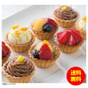 ギフト 銀座千疋屋 銀座プチフルーツタルト PGS-327 【送料無料 北海道・沖縄・東北 別途加算】 [結婚内祝い 新築内祝い 快気内祝い 引越内祝い 出産内...