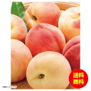 お中元 ダイワ果園 三産地味比べ常温 PMX-60RW 【送料無料 北海道・沖縄・東北 別途加算】 [御中元 ギフト 中元 贈り物 結婚内祝い 新築内祝い 快気...