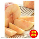 お中元 ダイワ果園 あら川の水蜜桃常温 PAR-10RW 【送料無料 北海道・沖縄・東北 別途加算】 [御中元 ギフト 中元 贈り物 結婚内祝い 新築内祝い 快...