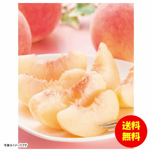 渵 ̱ ̣پﲹ PMX-80RW ̵ ̳ƻ졦 Ӳû [渵 ե 渵 £ʪ 뺧ˤ ˤ ˤ ˤ лˤ ˤ ˤ ˤ֤ лˤ ֤ ]