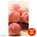 お中元 山梨県産の桃冷蔵 26308 【送料無料 北海道・沖縄・東北 別途加算】 [御中元 ギフト 中元 贈り物 結婚内祝い 新築内祝い 快気内祝い 引越内祝い...