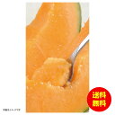 お中元 北海道産富良野メロン常温 1020 【送料無料 北海道・沖縄・東北 別途加算】 [御中元 ギフト 中元 贈り物 結婚内祝い 新築内祝い 快気内祝い 引越...