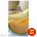 お中元 北海道産 赤肉・青肉メロン詰合せ常温 7839 【送料無料 北海道・沖縄・東北 別途加算】 [御中元 ギフト 中元 贈り物 結婚内祝い 新築内祝い 快気...