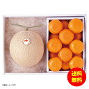 お中元 北海道産赤肉メロン&ハウスみかん詰合せ冷蔵 82699 【送料無料 北海道・沖縄・東北 別途加算】 [御中元 ギフト 中元 贈り物 結婚内祝い 新築内祝...