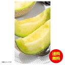 お中元 愛知県産マスクメロン(2玉)常温 YO-623 【送料無料 北海道・沖縄・東北 別途加算】 [御中元 ギフト 中元 贈り物 結婚内祝い 新築内祝い 快気...