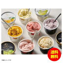 お中元 銀座千疋屋 銀座プレミアムアイス&ソルベ冷凍 PGS-139N 【送料無料 北海道・沖縄・東北 別途加算】 [御中元 ギフト 中元 贈り物 結婚内祝い ...